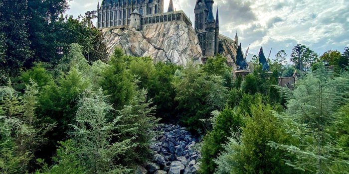 1920x2560 These Gorgeous Harry Potter Wallpapers Will Cast a Spell on Your Phone or  Desktop - AllEars.Net