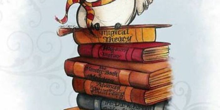 755x1350 Phone wallpapers 1 | Fandom