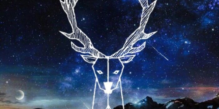 767x1280 Harry Potter Phone Wallpapers - Top Free Harry Potter Phone Backgrounds -  WallpaperAccess | Harry potter wallpaper phone, Harry potter wallpaper, Harry  potter