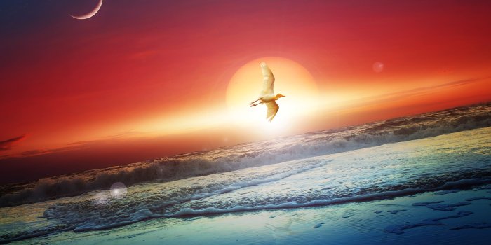 2560x1600 Free download Sun Moon Wallpapers HD Wallpapers [2560x1600] for your  Desktop, Mobile & Tablet | Explore 44+ Sun and Moon Wallpaper | Sun Moon  Stars Wallpaper, Sun And Moon Backgrounds, Sun and