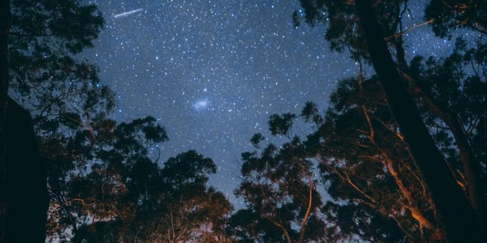 1000x1435 500+ Camping Images [HD] | Download Free Images on Unsplash