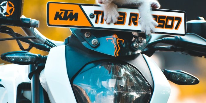 1000x1500 750+ Ktm Duke Pictures | Download Free Images on Unsplash