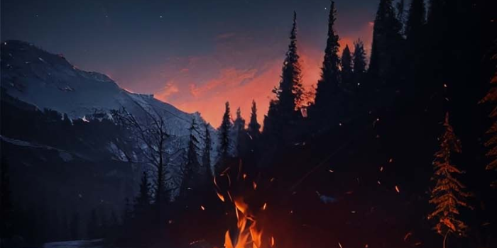 844x1500 Camping Fire Forest Wallpaper Download | MOONAZ