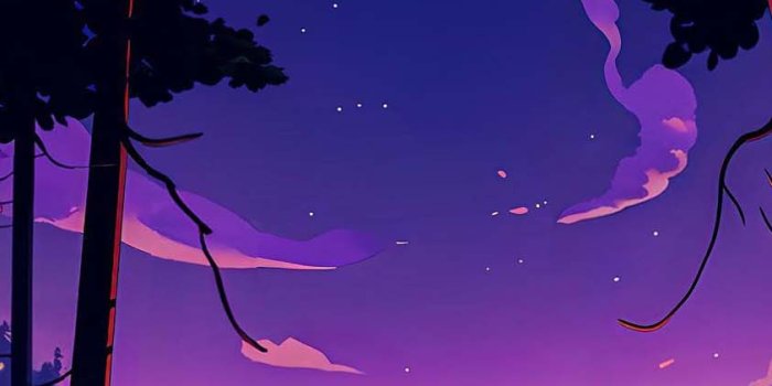 843x1500 Camping Night iPhone Wallpaper HD - iPhone Wallpapers