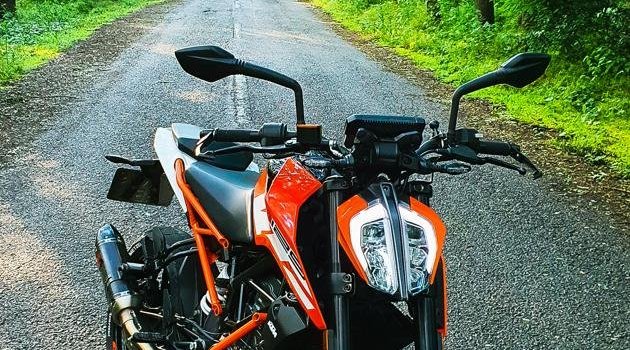 630x1280 Ktm Duke - Trees Background Wallpaper Download | MobCup