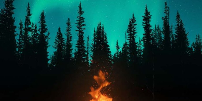 844x1500 Camp Fire iPhone Wallpaper HD - iPhone Wallpapers