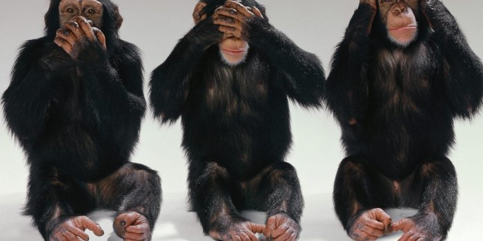 1600x1200 Three Monkeys Wallpaper Hd