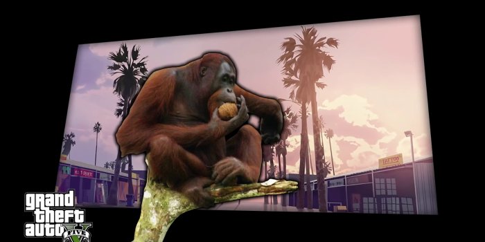 1920x1080 4 Monkey Live Wallpapers, Animated Wallpapers - MoeWalls