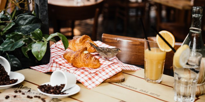 5000x3338 Food And Drink Photos, Download The BEST Free Food And Drink Stock Photos &  HD Images