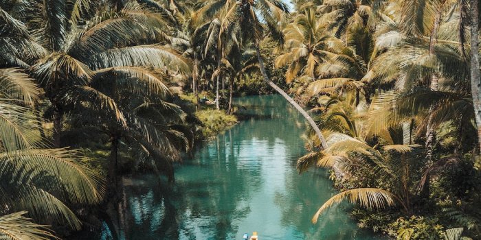 1000x1210 999+ Siargao Island, Philippines Pictures | Download Free Images on Unsplash