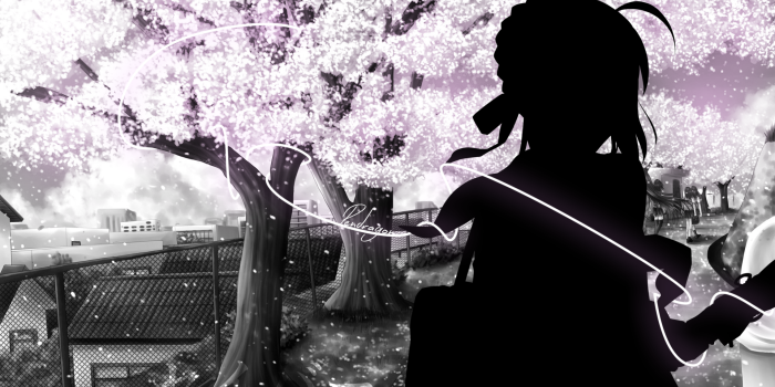 1920x1080 Saber 「Black/White」 by Zyvox