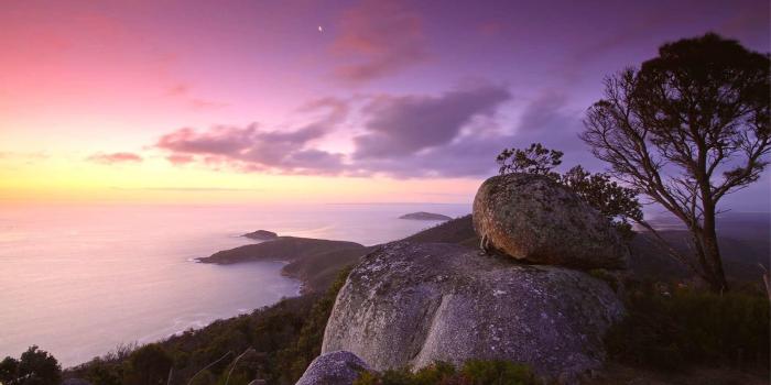 1920x1080 Calming Nature Wallpapers - Top Free Calming Nature Backgrounds -  WallpaperAccess