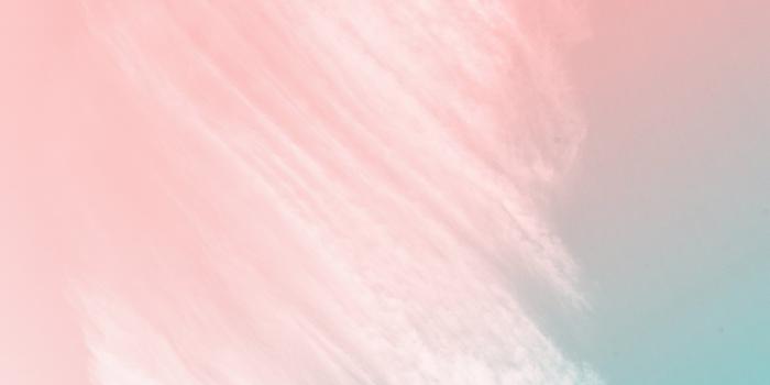 3648x5472 Pastel Wallpaper Photos, Download The BEST Free Pastel Wallpaper Stock  Photos & HD Images