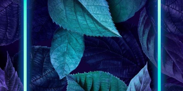 900x1600 Purple leaves with neon light Wallpapers Download | MobCup