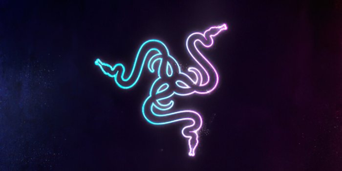 2160x3840 Razer Logo Neon Lights 4K Mobile Wallpaper