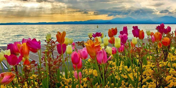 1920x1080 Spring Calming Wallpapers