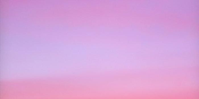 736x1308 Aesthetic pink pastel Wallpapers Download | MobCup