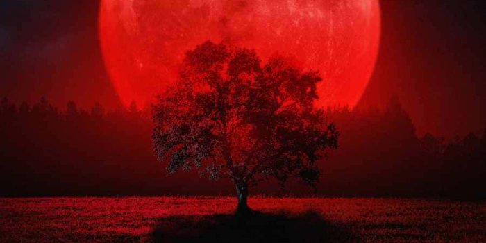 900x1600 Download Blood Moon Tree Wallpaper | Wallpapers.com