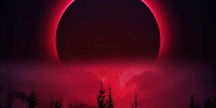 800x1280 Download Witness The Beauty Of A Blood Moon Wallpaper | Wallpapers.com