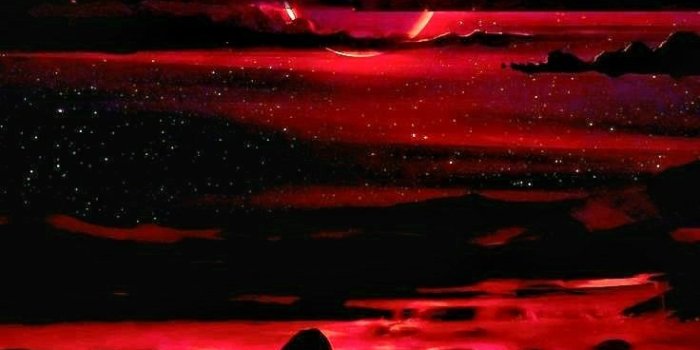 736x1593 Pin on Nature and animals