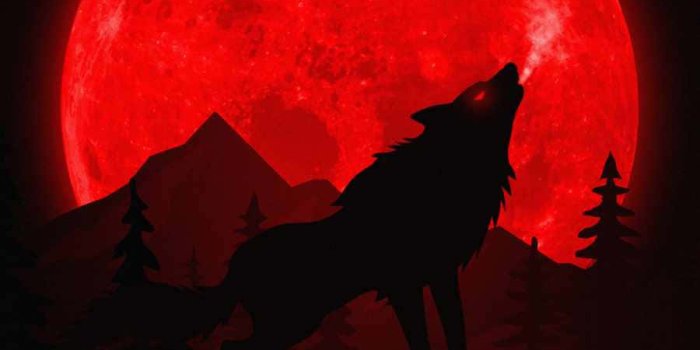 900x1600 100+] Blood Moon Background s | Wallpapers.com