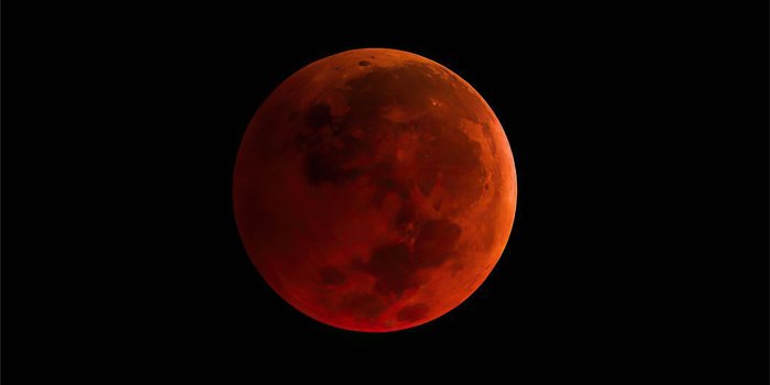 2048x2048 blood moon night 4k iPad Air Wallpapers Free Download
