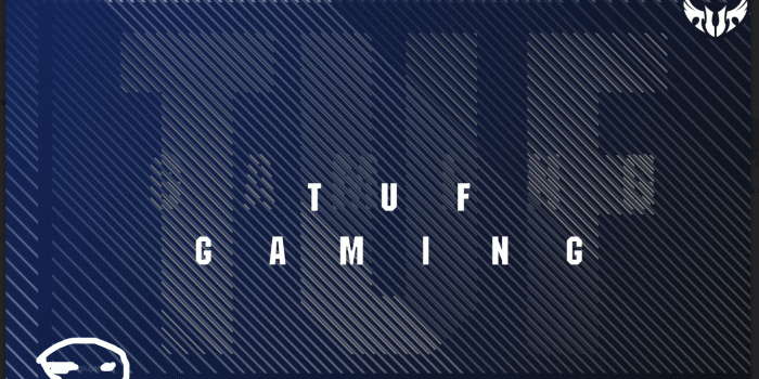 1435x827 does anyone have this wallpaper, that doesn't have a watermark? : r/Asustuf