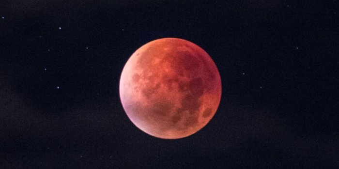 1242x2208 Blood Moon Wallpaper 4K, Total Lunar Eclipse