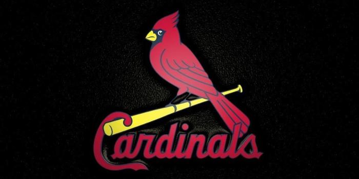 1024x768 Pin on St Louis Cardinals