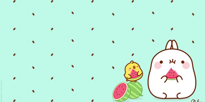 1200x675 Molang Food Wallpapers: Discover The Watermelon Wallpaper of Molang