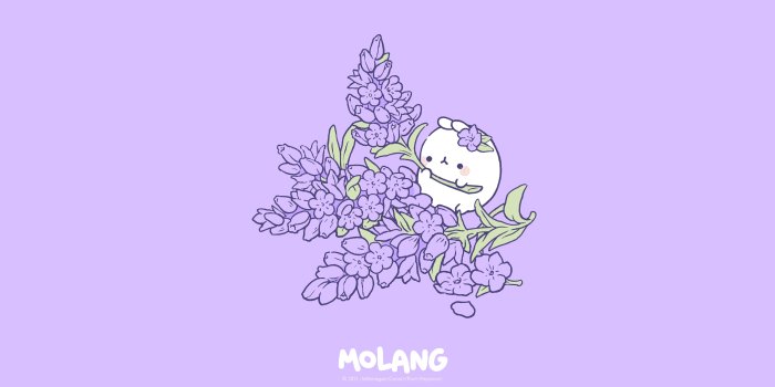 4001x2251 Molang Wallpapers | Molang Official Website – Page 5