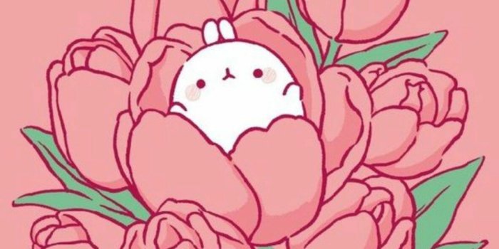 1183x2560 Molang with Tulip Pink Wallpapers - Molang Wallpapers for iPhone