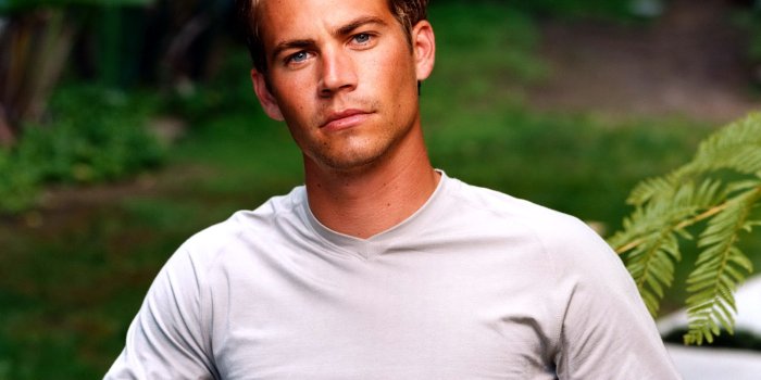 1600x1200 Wallpaper Paul Walker Celebrities