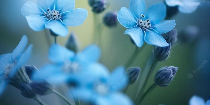 1600x2000 Premium Photo | Blue flowers wallpapers for iphone and android.