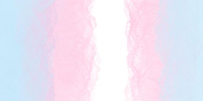 1242x2208 Transgender Flag Phone Wallpaper Pride Phone Wallpaper - Etsy