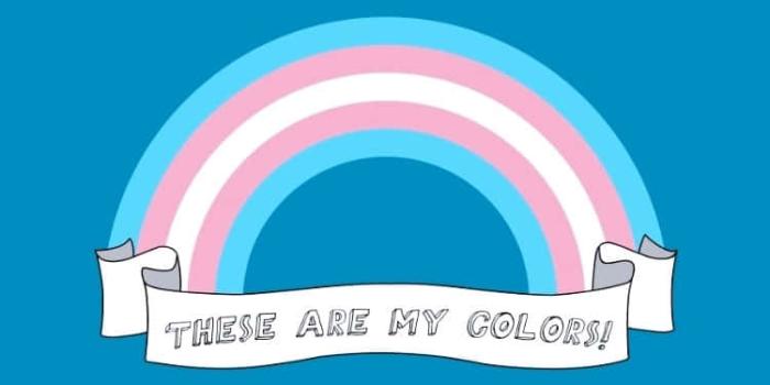 750x1334 100+] Trans Flag Background s | Wallpapers.com