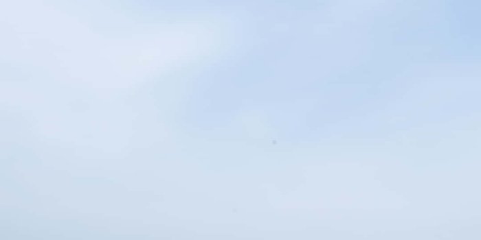 1080x1920 Download Surround yourself in beauty with our range of blue flowers.  Wallpaper | Wallpapers.com