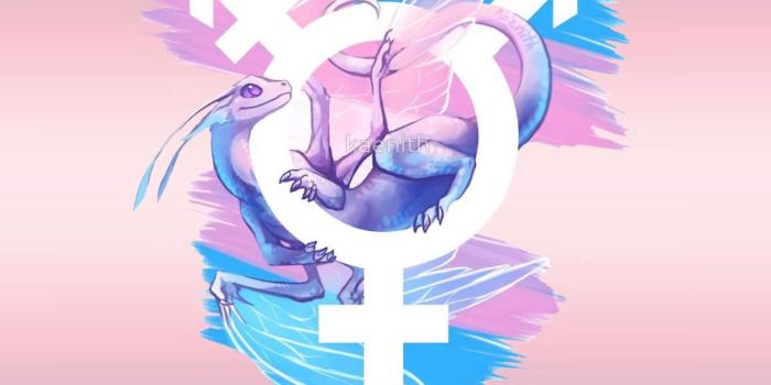 1440x1920 LGBT wallpapers - trans - Wattpad