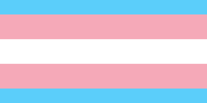5000x3000 Free download Transgender 1 by Pride Flags on [5000x3000] for your Desktop,  Mobile & Tablet | Explore 91+ Transgender Wallpapers | Transgender Wallpaper  Downloads for Desktop, Transgender Pride Wallpaper, Transgender Wallpaper