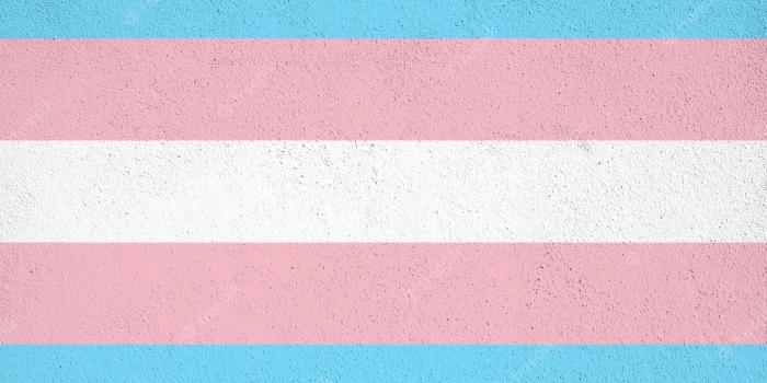 2000x1333 Premium Photo | Transgender flag painted on concrete wall on outdoor.  transgender grunge background