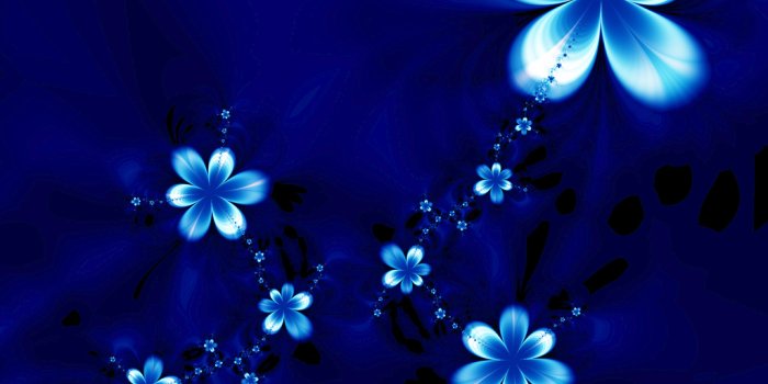 1024x768 Cute Blue Flowers #7038390
