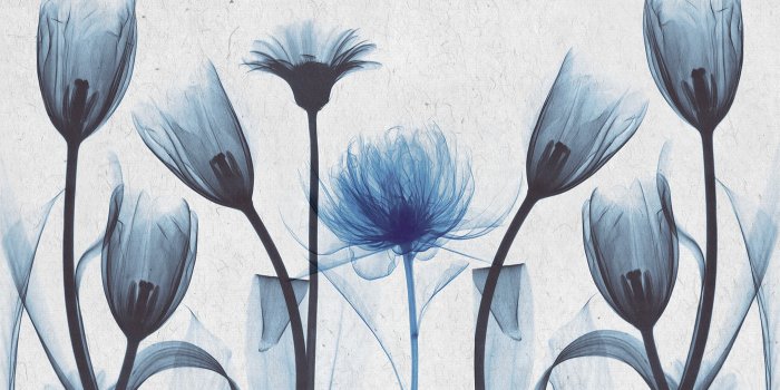 1400x933 Blue Flowers Mural Wallpaper: Flower Wallpaper | Forest Homes