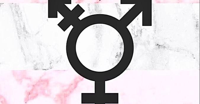 676x1200 trans pride wallpaper | Trans pride, Trans, Wallpaper