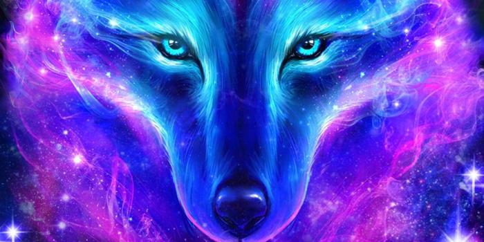 1080x1920 Download Embrace Your Inner Wolf Wallpaper | Wallpapers.com