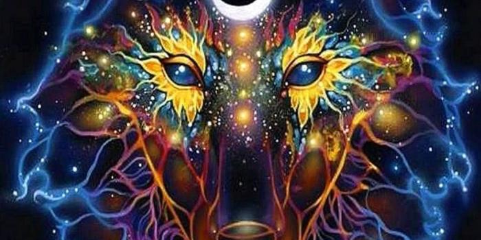 1056x1879 Cool Neon Wolf Wallpapers - Wolf Background Images in 2023 | Wolf wallpaper,  Spirit animal art, Iphone wallpaper wolf