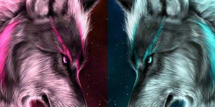 720x1280 Neon wolf Wallpapers Download | MobCup