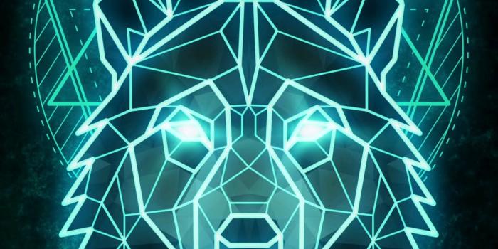 1080x2160 Neon Wolf Live Wallpaper [1080x2160] : r/MobileWallpaper