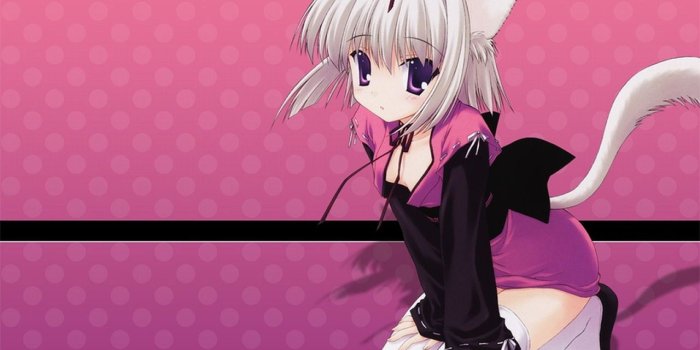 1280x960 Neko Anime Desktop Wallpapers