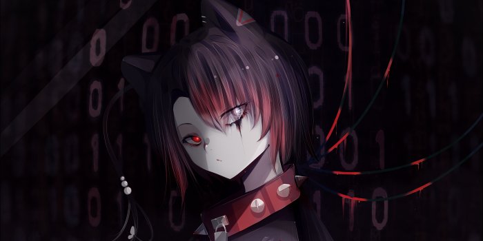 3840x2160 Error C Neko Girl 4k, HD Anime, 4k Wallpapers, Images, Backgrounds, Photos  and Pictures