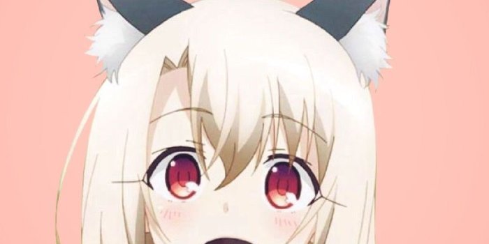 800x1497 Neko Girl Wallpapers